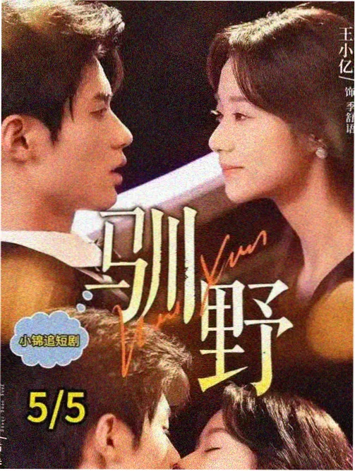 魁地奇 哈利波特魔法运动
